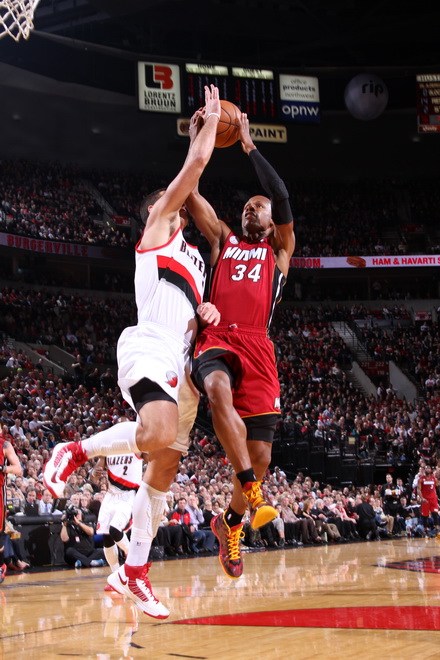 深圳新鹏城 深圳新鹏城